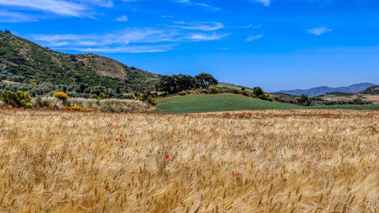 Almendros Antequera - Los Nogales By Ruralidays Villa Exterior foto